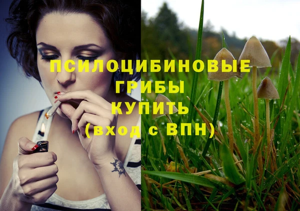 мдпв Балабаново
