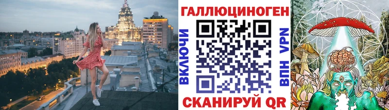 купить   Губаха  Псилоцибиновые грибы GOLDEN TEACHER 
