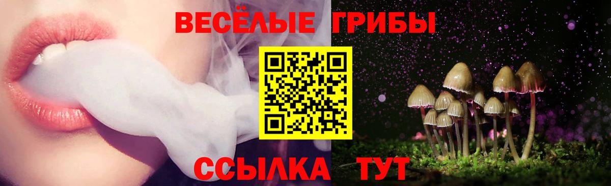 Псилоцибиновые грибы Cubensis  Псилоцибиновые грибы прущие грибы  Губаха  купить наркоту  Вход с VPN 