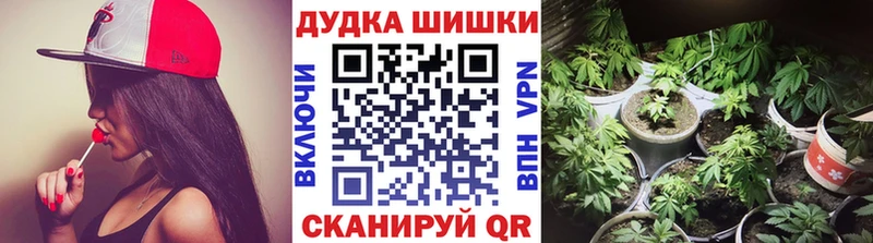 где купить наркотик  Губаха  Марихуана Bruce Banner 